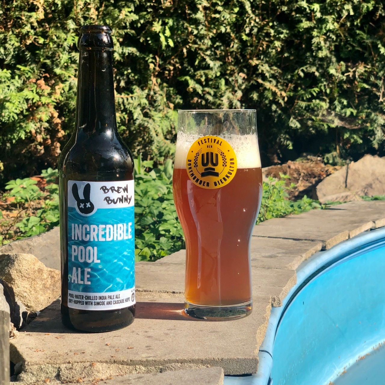 Incredible Pool Ale